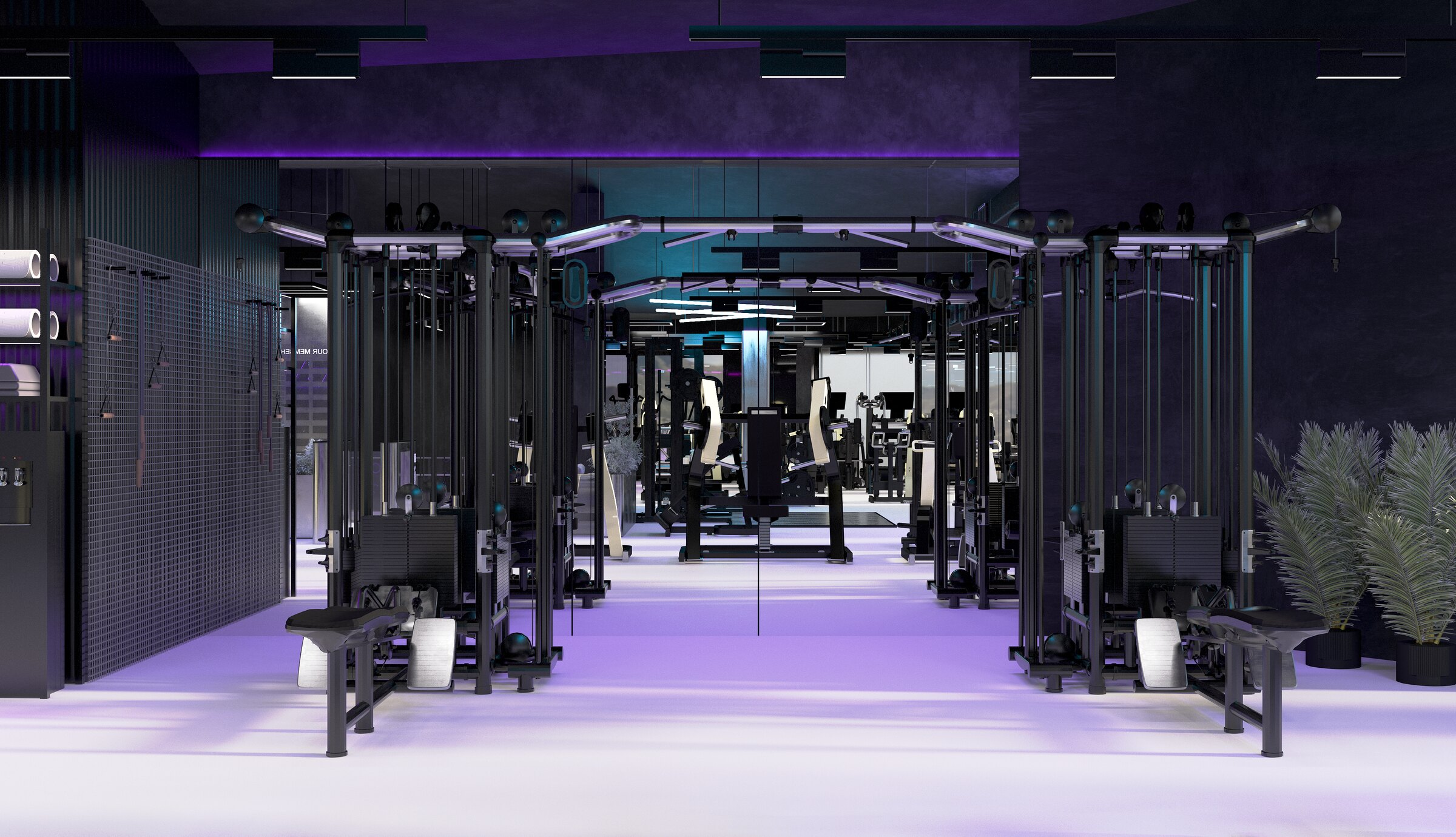 TOPGYM | LUMA BIOHACKING — image 2