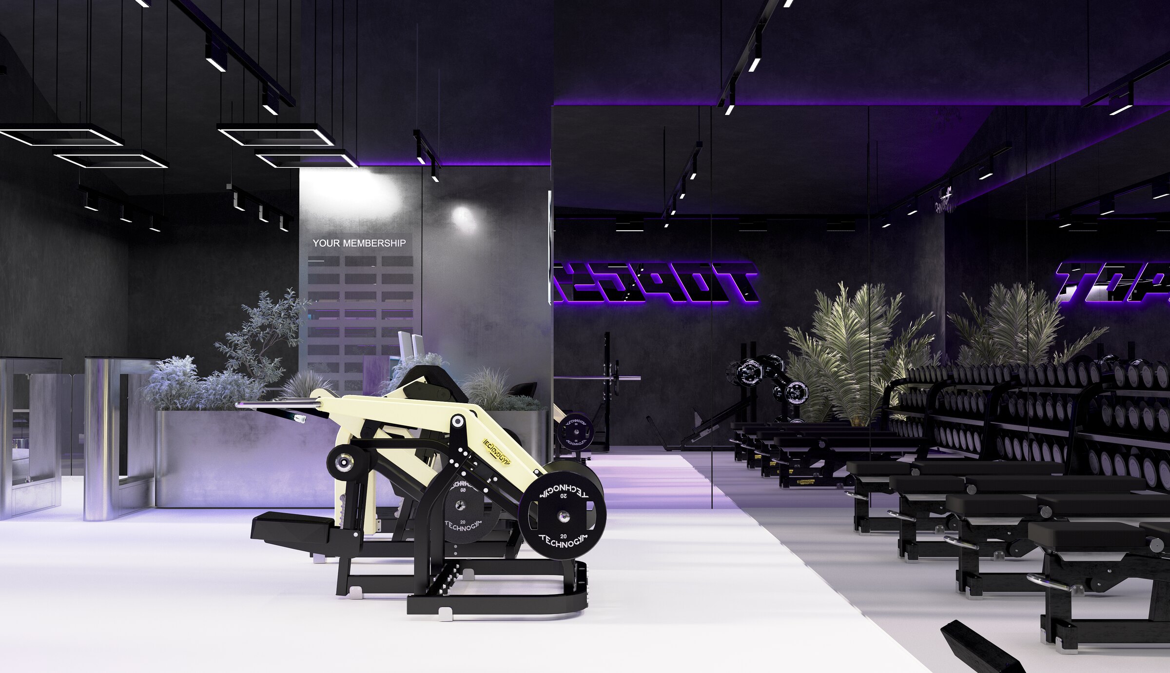 TOPGYM | LUMA BIOHACKING — image 4
