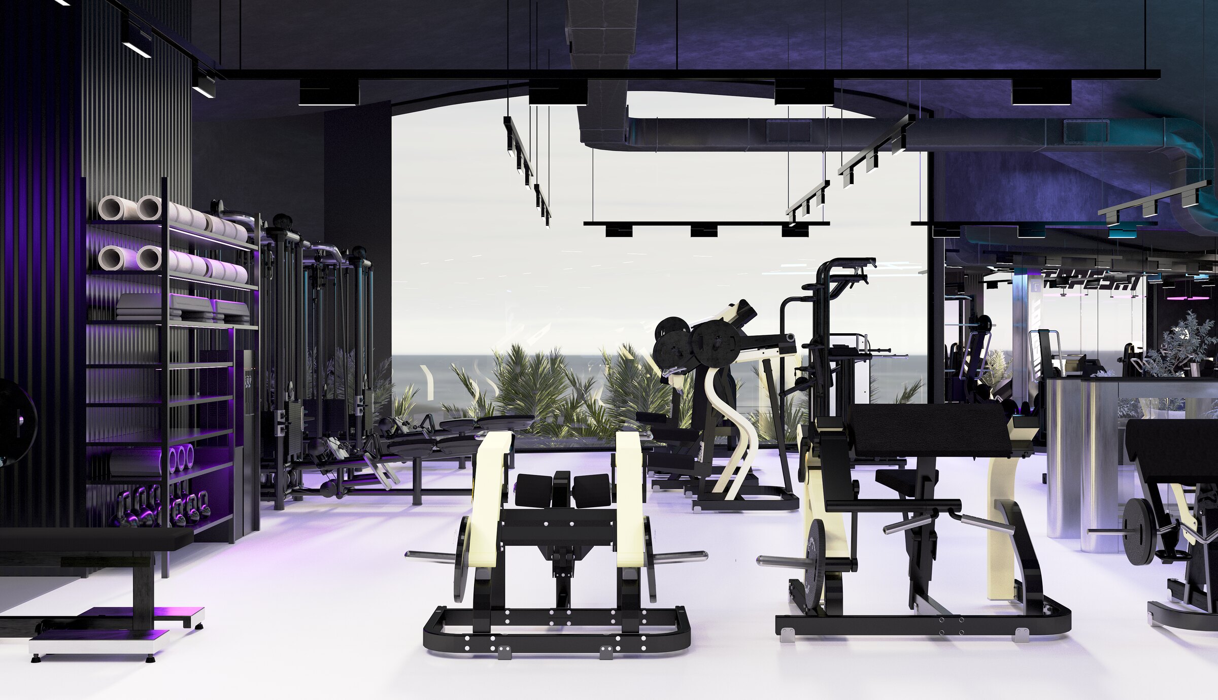 TOPGYM | LUMA BIOHACKING — image 5