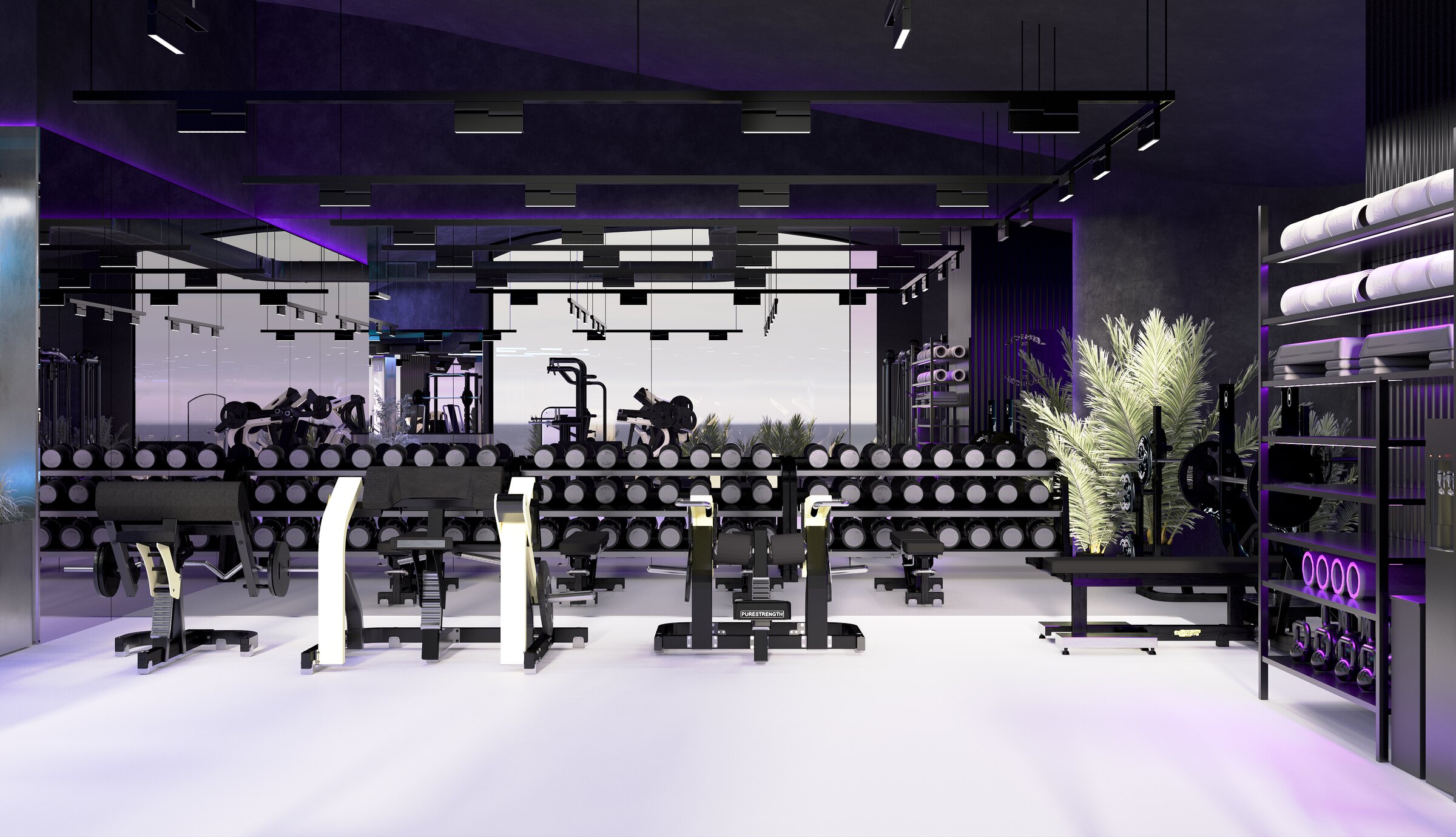 TOPGYM | LUMA BIOHACKING — image 6