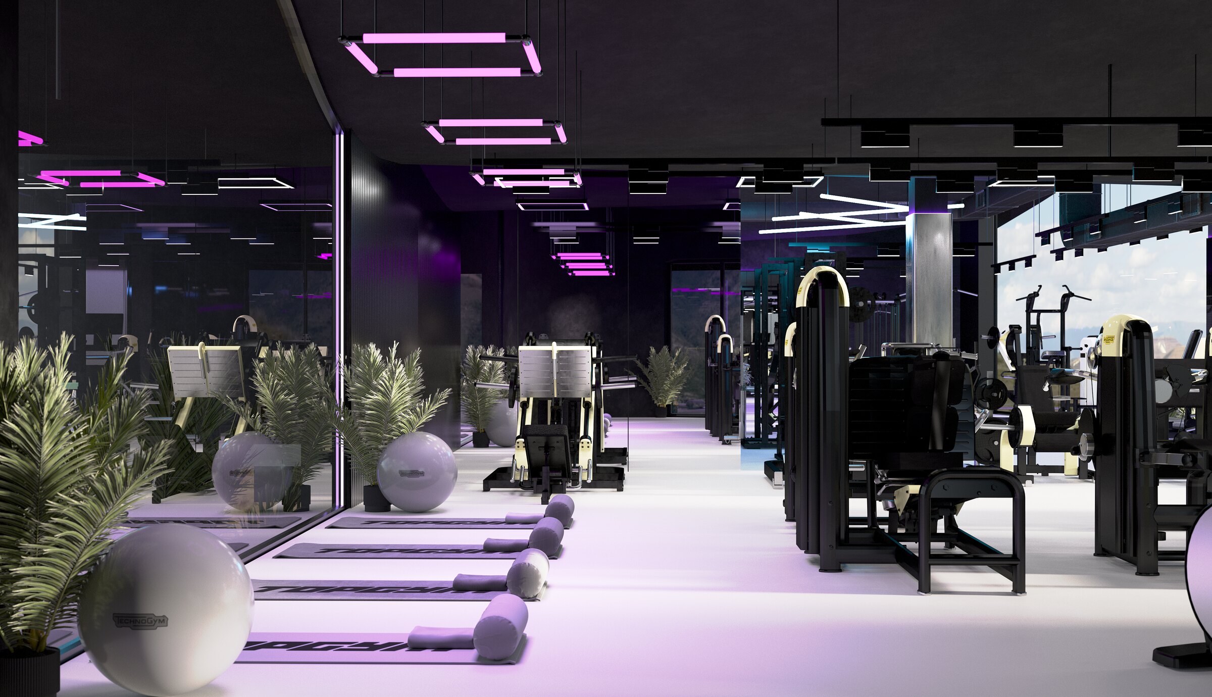 TOPGYM | LUMA BIOHACKING — image 7