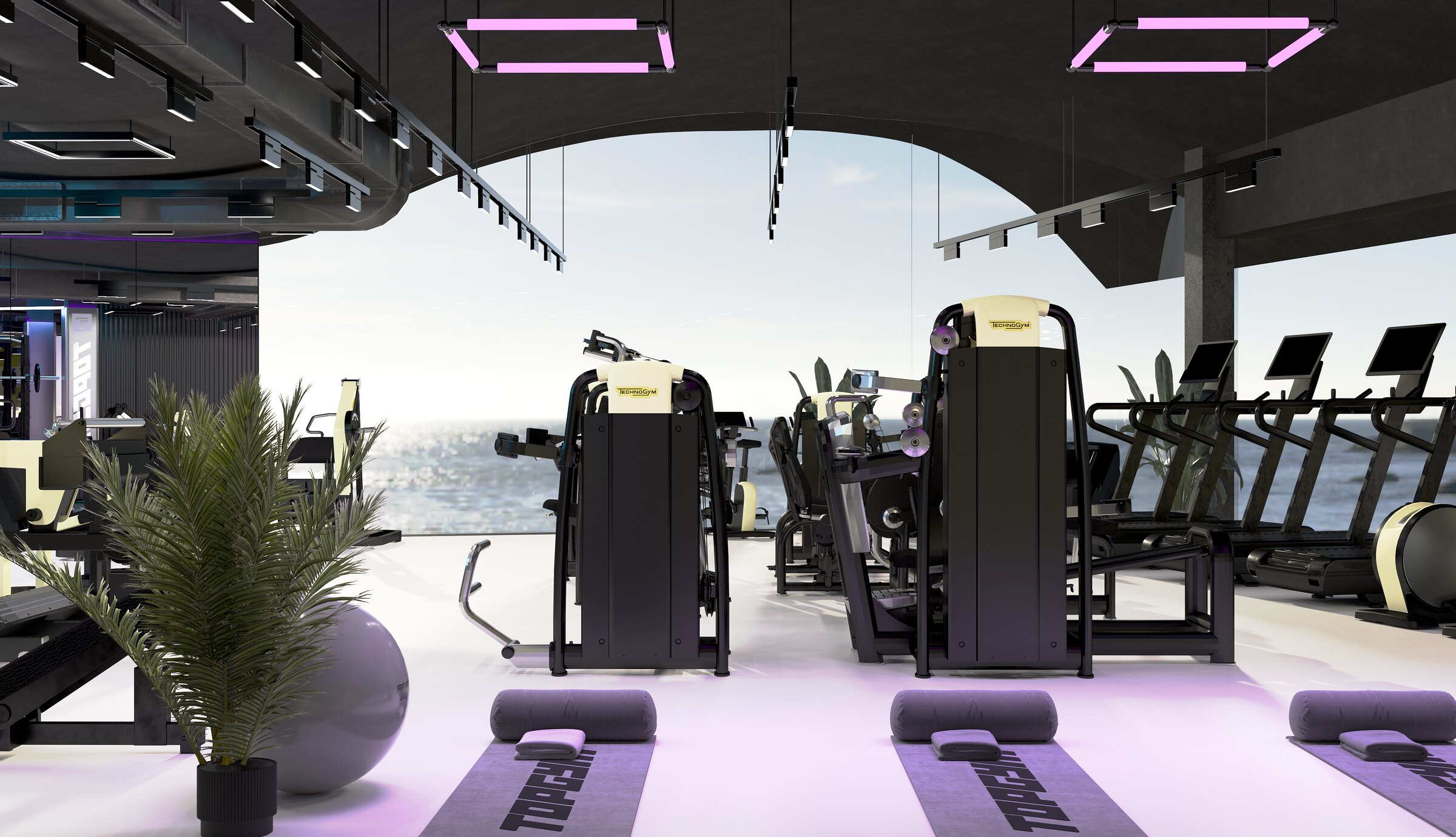 TOPGYM | LUMA BIOHACKING — image 9