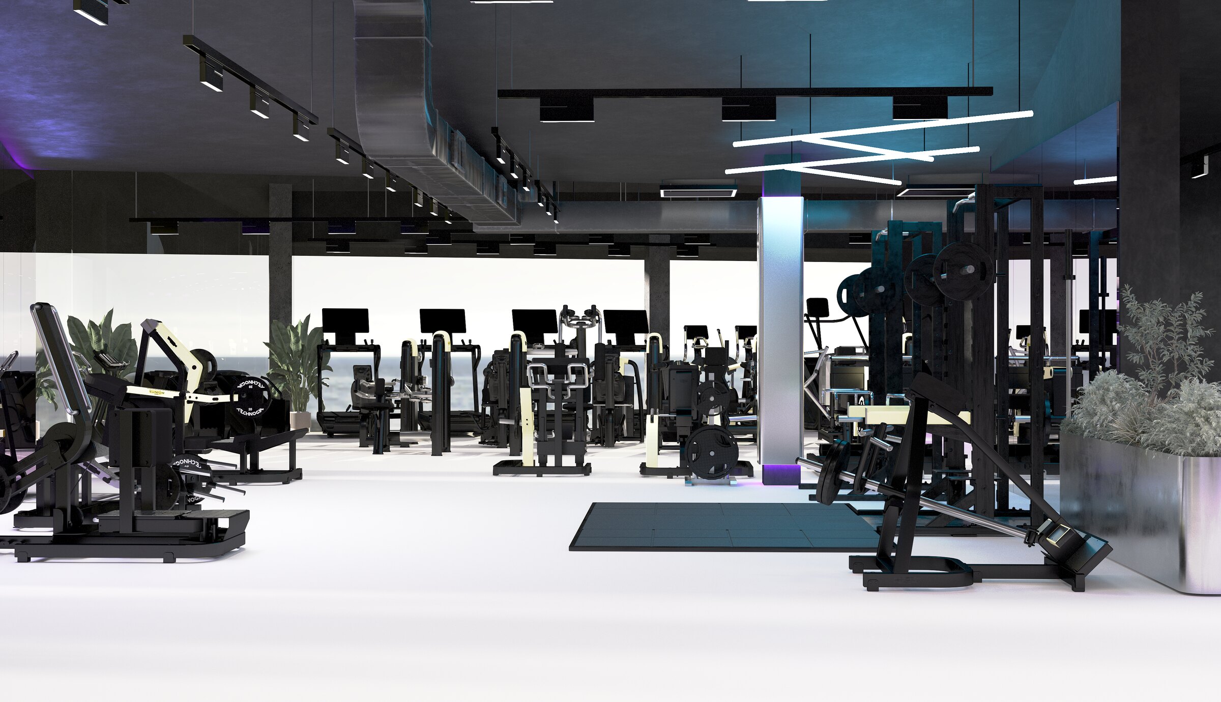 TOPGYM | LUMA BIOHACKING — image 10
